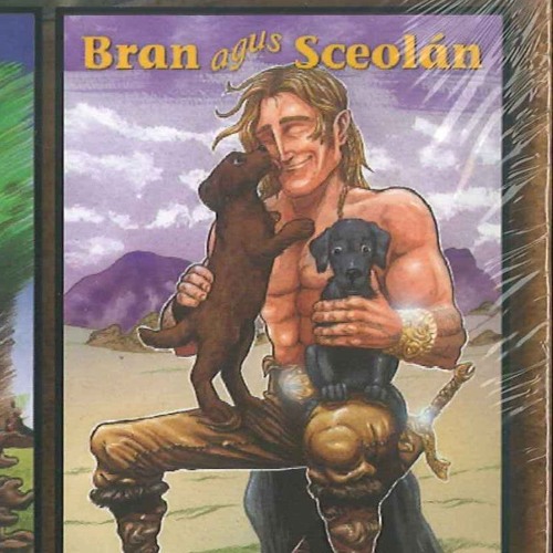 Image result for Bran agus Sceolán