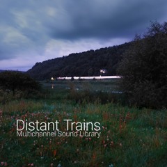DTS079 Detunized Distant Trains Library Audio Demo