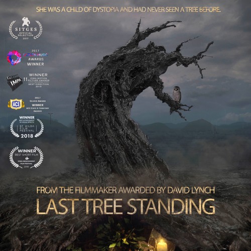 The Story of the Tree Man (AnimationSequence) from Last Tree Standing