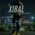 Artwork for Sik-K- X발 (XIBAL)Prod. GroovyRoom & Pink Slip