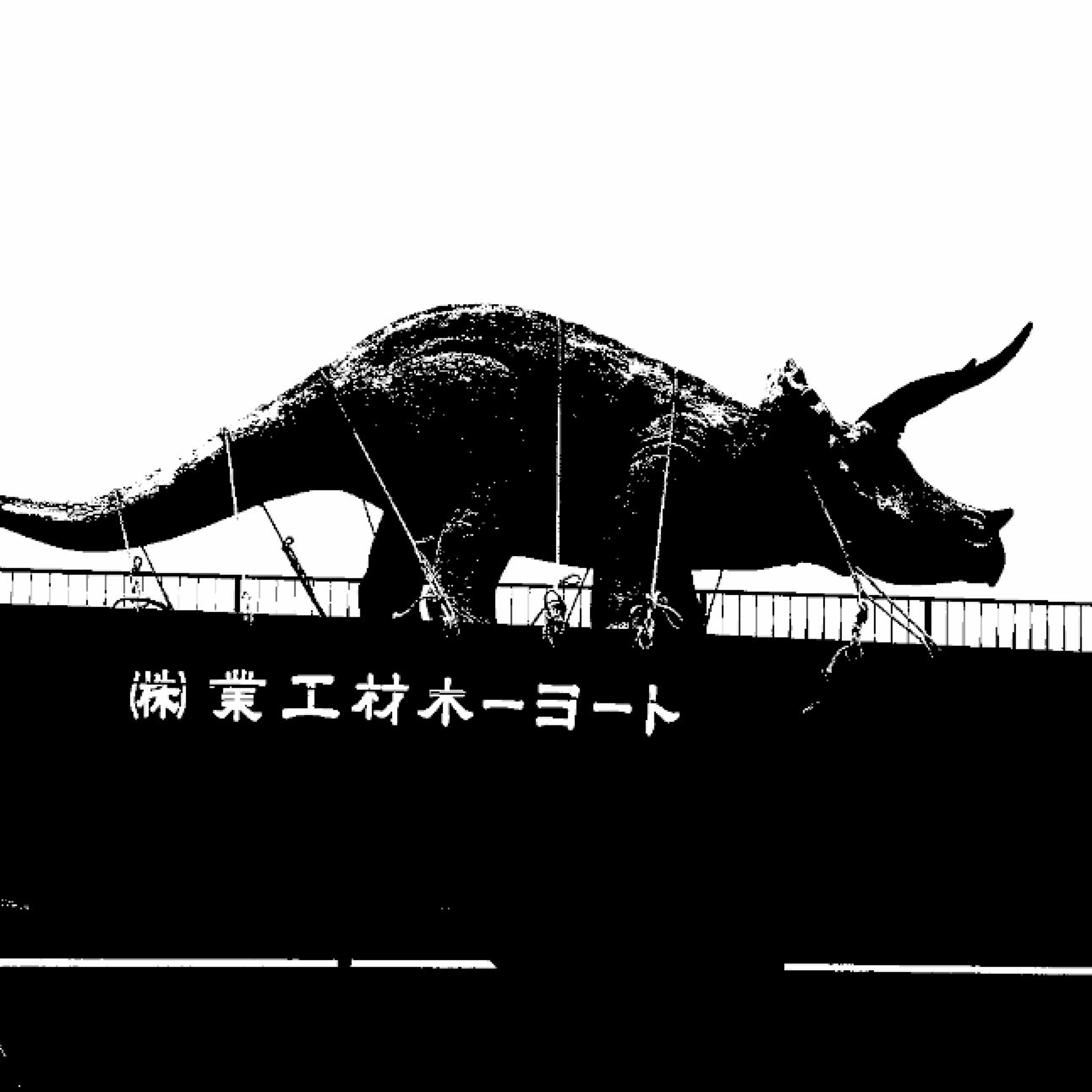 TRICERATOPS 1