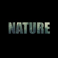 03. Nature Symphony