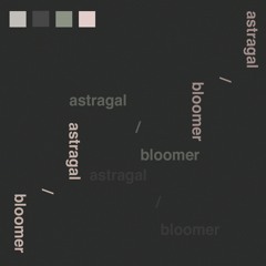 Bloomer