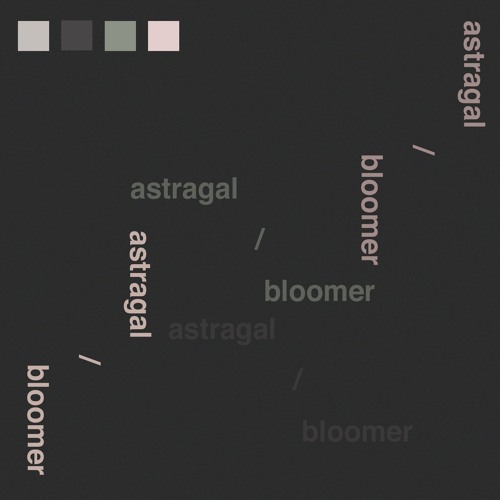 Bloomer