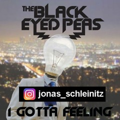 Black Eyed Peas - I Gotta Feeling (Schleini Hardtekk Remix)