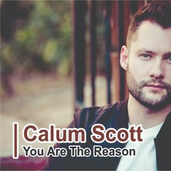 You Are The Reason (Calum Scott)- cover by Pipit Maharani