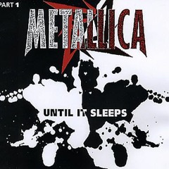 Until It Sleeps - Metallica