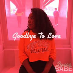 Goodbye to Love feat. Nicole Battick (Radio Edit)