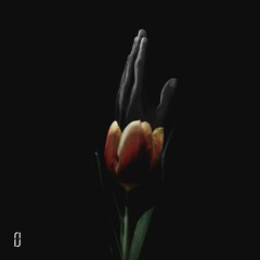Moose Dawa - Hold On (Free Download)