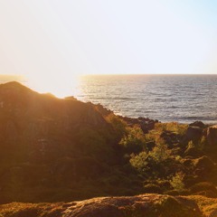 N°132 - Vågan