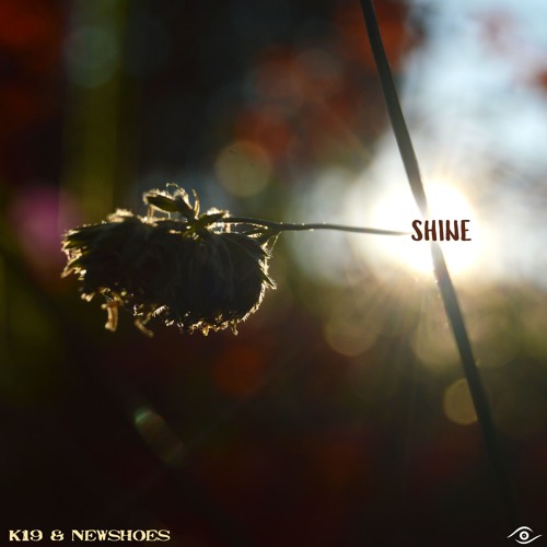 K19 Featuring NewShoes ▶  Shine