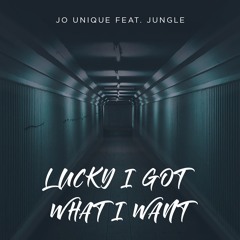 Jo Unique Feat. Jungle - Lucky I Got What I Want