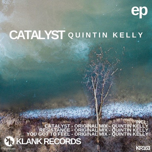 Quintin Kelly - You Got To Feel - (original Mix)