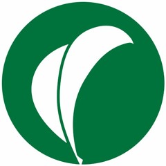 Part 2 Podcast - Tom Planck Interview by Beth Ehlert