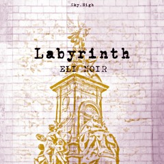 Labyrinth w/ Sky.High