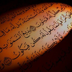 فظلام ثم نور  - براء زياد مسعود
