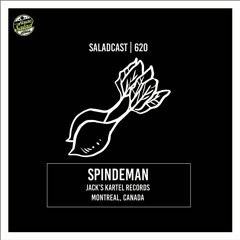 House Saladcast 620 | Spindeman