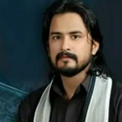Kash Abbas A.s Tum Wahan Hote - Irfan Haider Nohay 2019