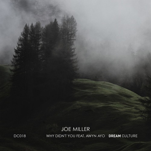 Premiere: Joe Miller - Why Didn't You Feat. Awyn Ayo (Artphorm Remix) [Dream Culture]