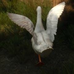 Earth Wind & Fire Vs Pantera - Mouth For September