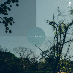 Chillmix Vol. 7