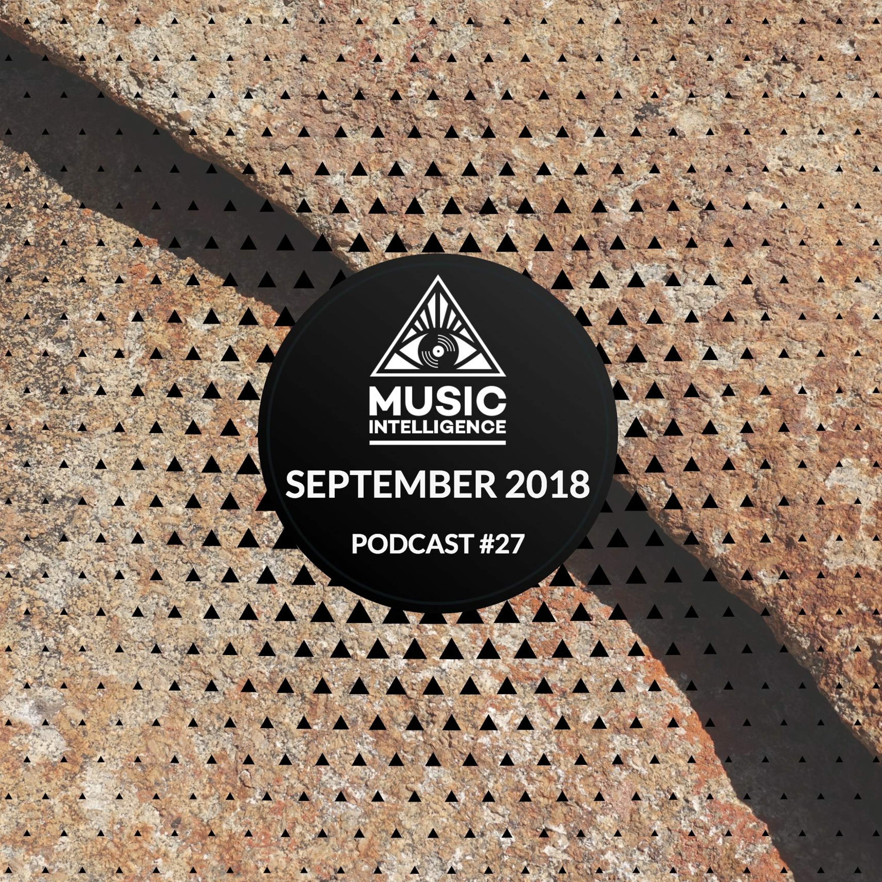 Music Intelligence Podcast
