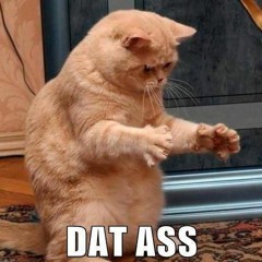 Nalga Shaker Vol.1 - Deejay Flacko