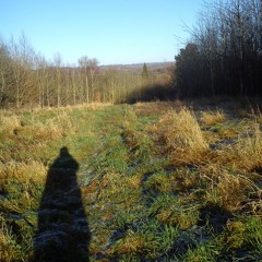 One Of My Kind (Conor Oberst cover)