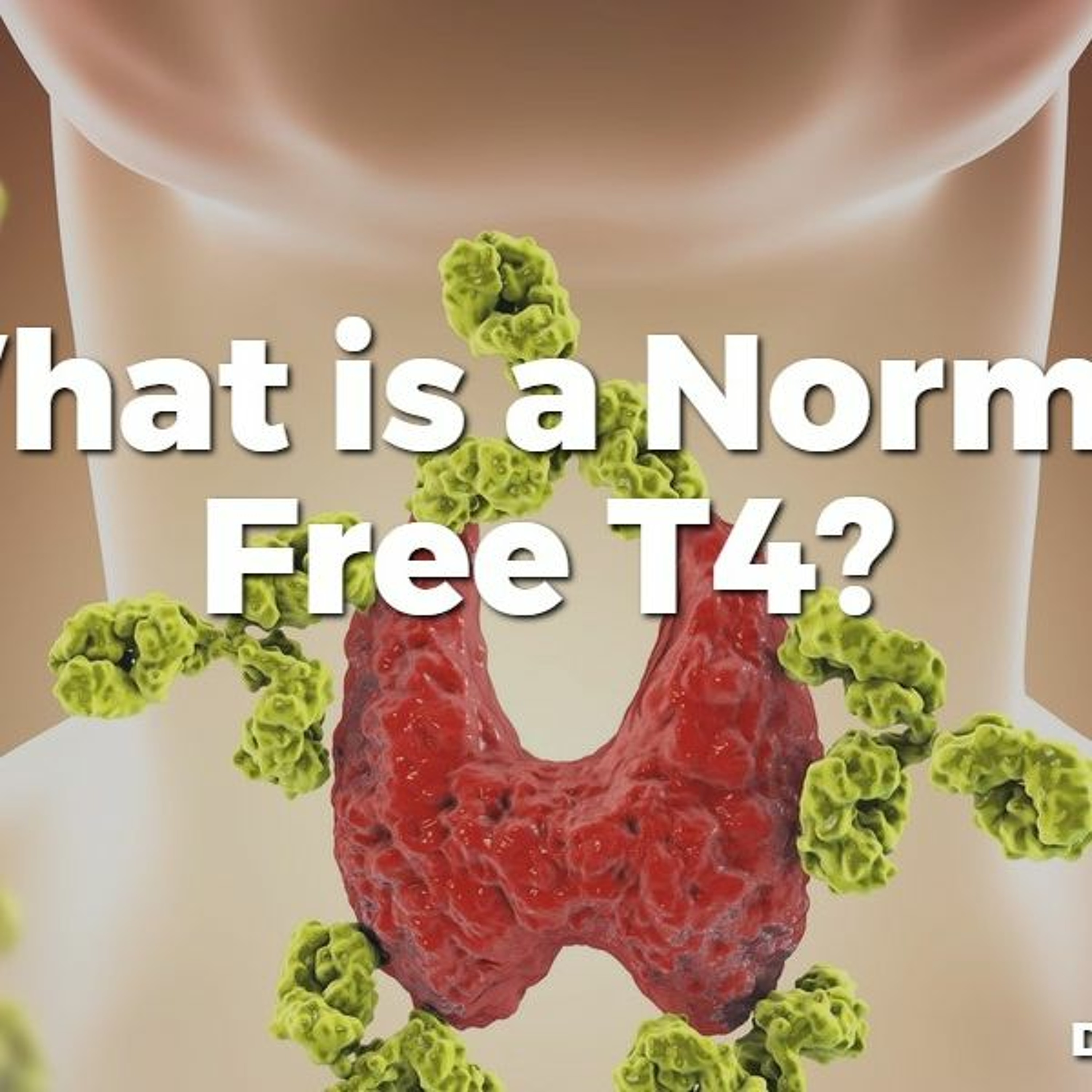 #40 What is a Normal Free T4?
