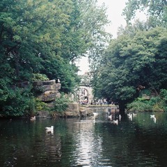 Even If It's a Lie – Matt Maltese cover