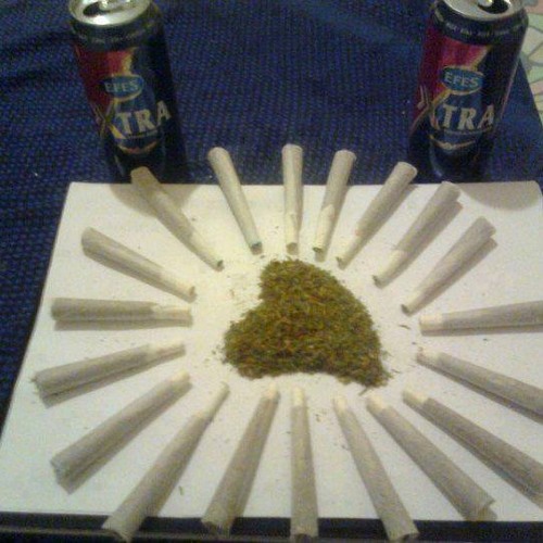 dinleyin ulan develer