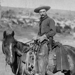 Ballad Of The Absent Mare (Leonard Cohen Cover)