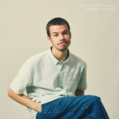 Rex Orange County - Apricot Princess (Rorke Remix)