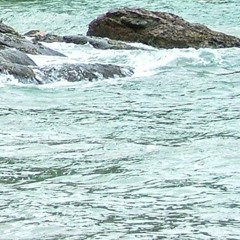 Achuma Wagua