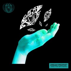 Vision Explored - Dream Prophet ( Jaws That Bite Remix )