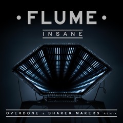 Flume - Insane (Overdone & Shaker Makers Remix)