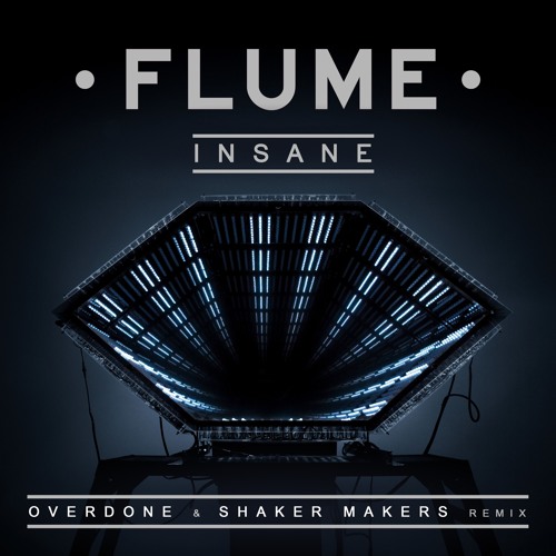 Flume - Insane (Overdone & Shaker Makers Remix)