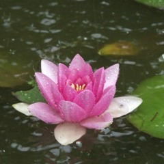 MY GIRL SMELLS LIKE FLOWERS  Prod. Blue Skai Beats