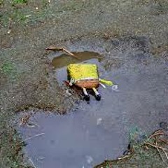 231GANG - Pablo, D Pitty