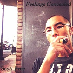Feelings Concealed