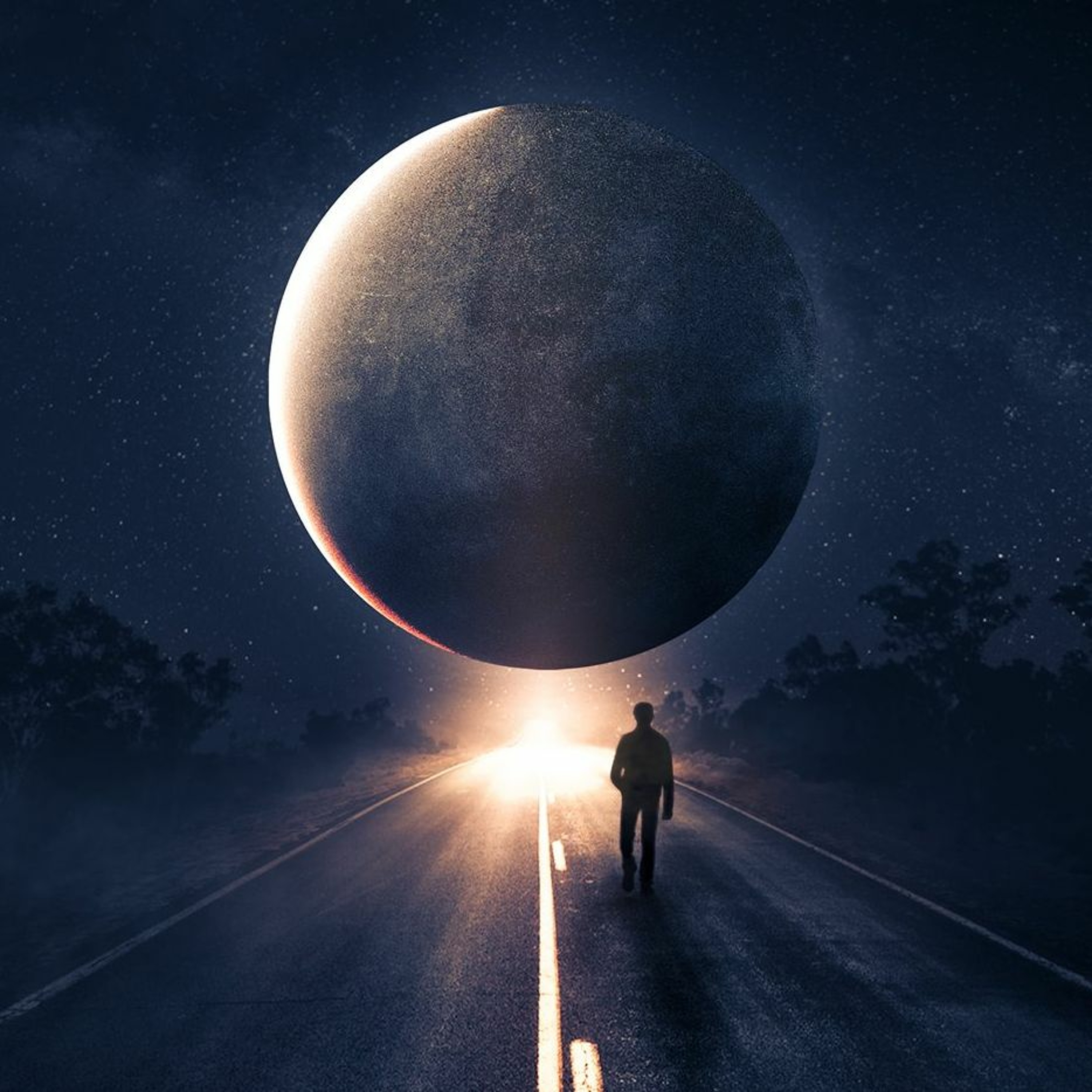 martin majer