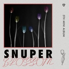 Tulips - SNUPER