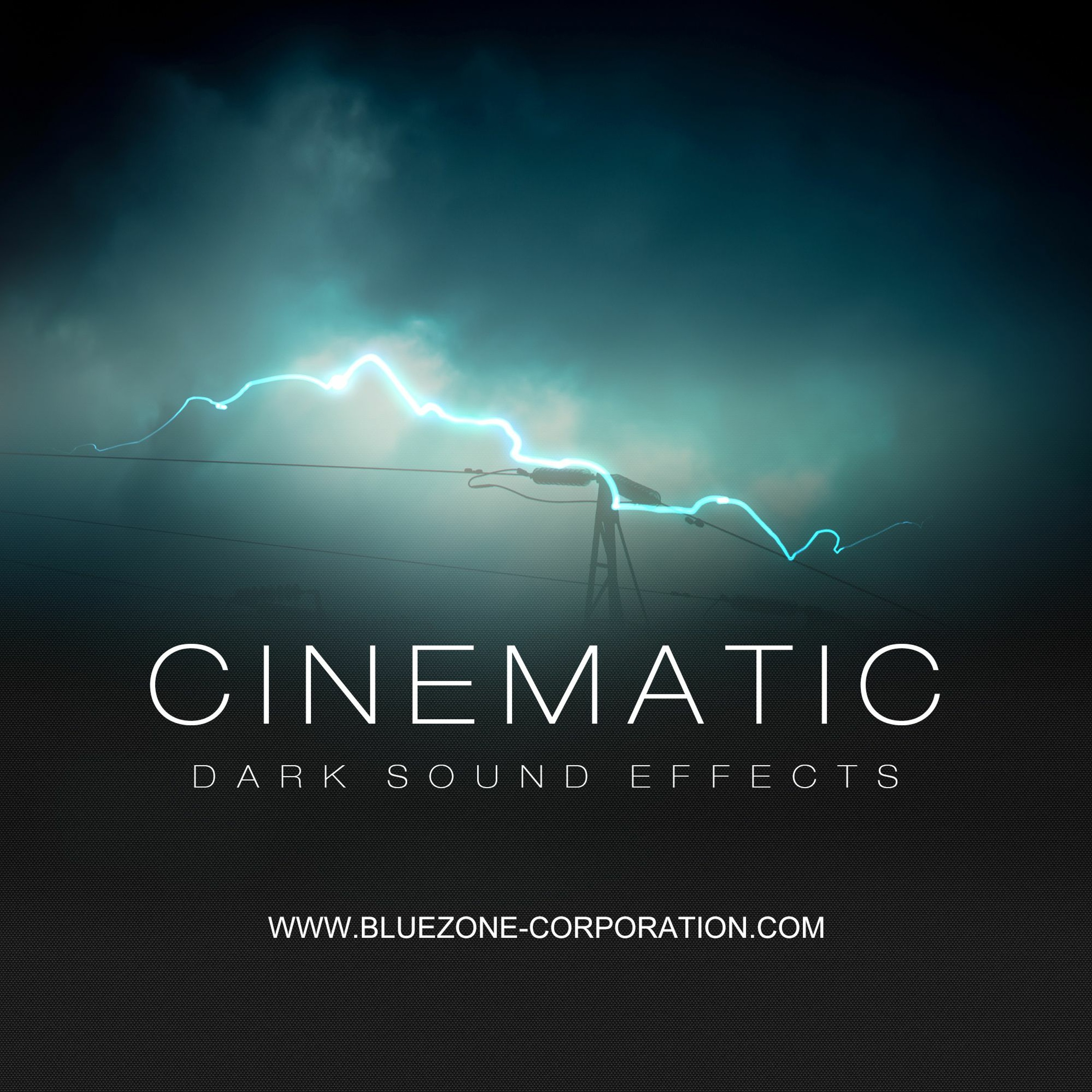 Bluezone Corporation