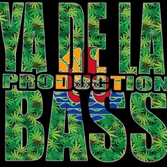 LOCAL REGGAE RMX BASS