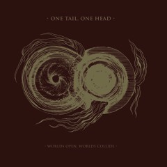 ONE TAIL, ONE HEAD - Stellar Storms
