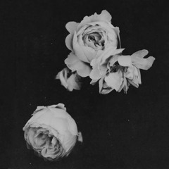 Instrumentals