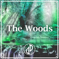 JJD - The Woods