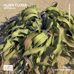Alien Flora w/ Chlorys ─ Noods Radio (20.09.18)