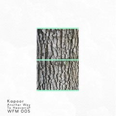 PREMIERE: Kapoor - Rabin´s Cry [Wildfang Music]