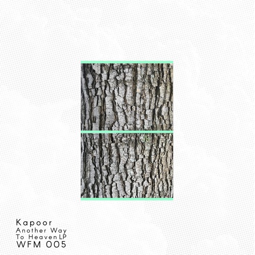 PREMIERE: Kapoor - Rabin´s Cry [Wildfang Music]
